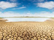 OZwater’20 Q&A: what we can learn from the Millennium drought