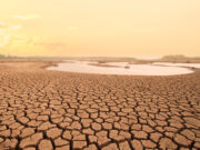 Water security: How to avoid another Day Zero disaster in South Africa