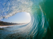 Swimming through the tide of asset and financial management: David Jenkins