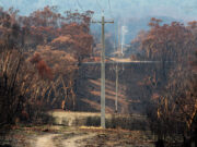 How to better sort and reuse post-disaster waste