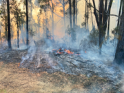 Towards resilience and sustainability in infrastructure planning