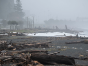 Cyclone Gabrielle. What can NZ teach and learn from other countries.