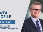 Digital Twinning. A data response to uncertainty