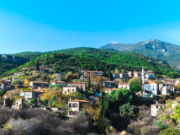 Turkey rebuilds, but is it rebuilding too fast?