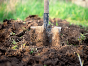 Sponsored Article by Before You Dig Australia: Digging on a job site? Here’s how you can get plans for underground infrastructure