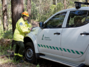 Collaborating for Success: Transforming Innovative Fleet Ideas into an Impactful Partnership