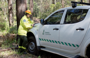 Collaborating for Success: Transforming Innovative Fleet Ideas into an Impactful Partnership