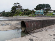 NZ water reforms increase councils’ power to raise debt