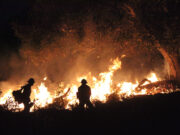 Building back differently in California