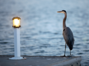 Outcomes from the Valuing Darkness Symposium and Roundtable