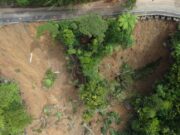 Auckland Transport harnesses AI to build resilience