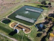 Floating wetlands provide a nature-based solution