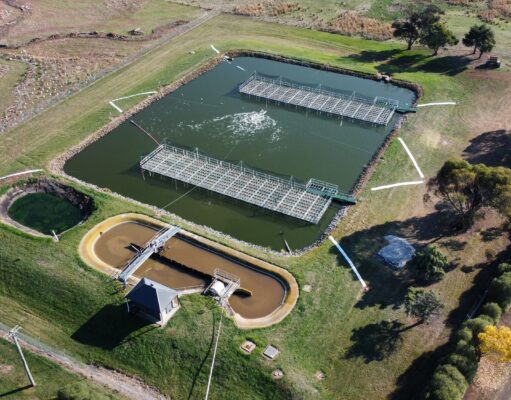 Floating wetlands provide a nature-based solution
