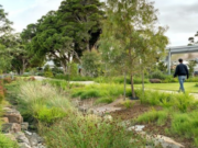 Green Infrastructure: Asset management’s sustainability solution