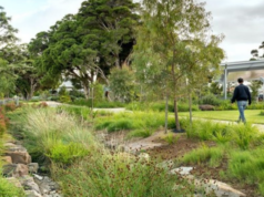 Green Infrastructure: Asset management’s sustainability solution