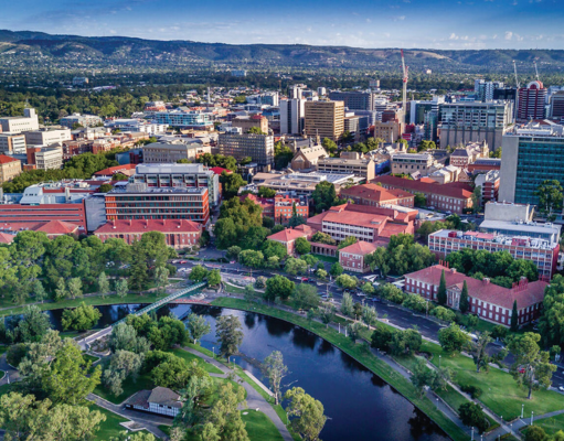 Bridging the Green–Grey Divide: How Emerging Technologies Are Transforming Infrastructure Management