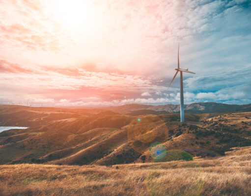 New Zealand reforms speed up infrastructure approvals