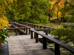Vancouver Launches Digital Project to Improve Park Access