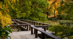 Vancouver Launches Digital Project to Improve Park Access