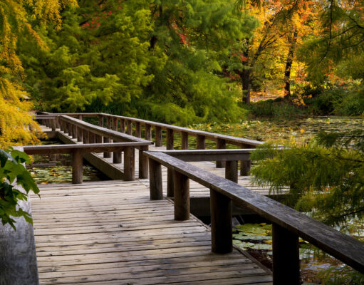Vancouver Launches Digital Project to Improve Park Access