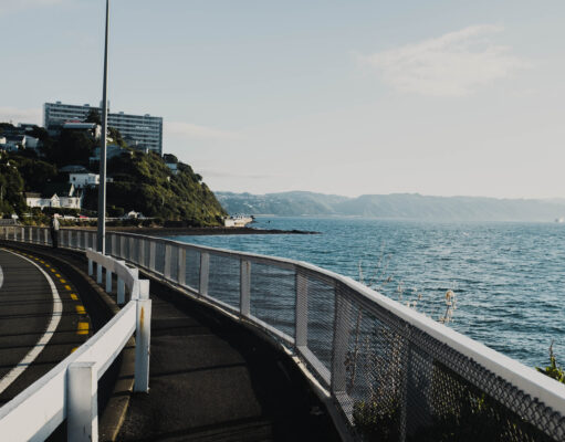 Building More Than Assets: How New Zealand Infrastructure is delivering a Double Dividend