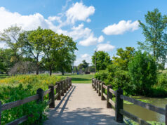 Chicago Upgrades Cooling at City Parks